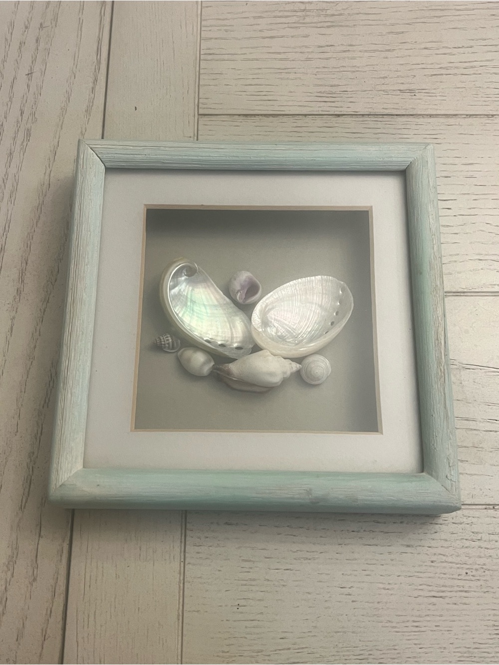 Coastal Seashell Shadow Box Wall Art in Distressed Aqua Blue Frame - 7”x7”